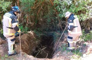 Con dron y el apoyo de seguridad ciudadana, municipio de Pitrufquén participa en la búsqueda de persona mayor extraviada este martes