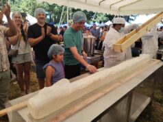 En Freire se cumplió la meta del quesillo más grande de Chile en la tradicional feria campesina de Rucahue Quepe