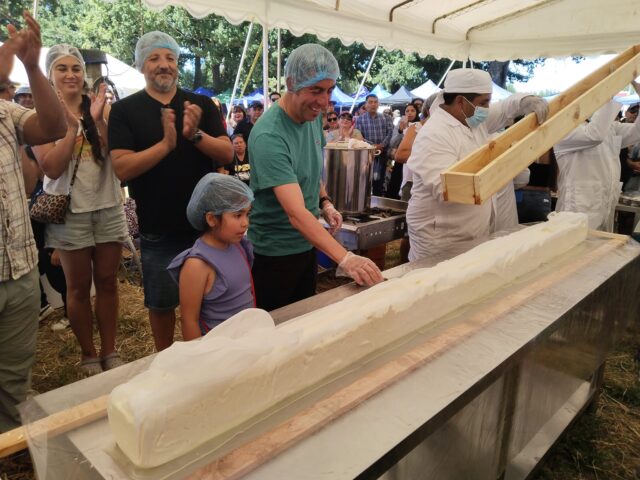 En Freire se cumplió la meta del quesillo más grande de Chile en la tradicional feria campesina de Rucahue Quepe