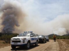 Restos humanos hallados en Los Sauces corresponderían a brigadistas fallecidos en incendio forestal, y no a una cuarta víctima
