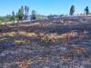 Detienen a mujer acusada de causar incendio forestal en Los Sauces que dejó tres brigadistas fallecidos
