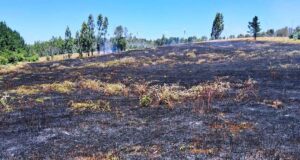 Detienen a mujer acusada de causar incendio forestal en Los Sauces que dejó tres brigadistas fallecidos