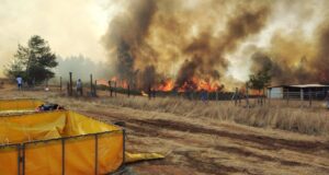 Incendio forestal en Cholchol arrasa con más de 300 hectáreas y deja ocho casas destruidas