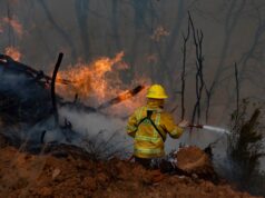 Nueva Imperial en alerta roja por incendio forestal que ha consumido alrededor de cuatro hectáreas