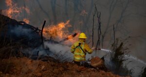 Nueva Imperial en alerta roja por incendio forestal que ha consumido alrededor de cuatro hectáreas
