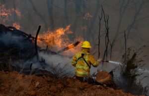 Nueva Imperial en alerta roja por incendio forestal que ha consumido alrededor de cuatro hectáreas