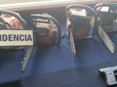 Operación radiata Toltén de la PDI detuvo a ocho personas por sustracción de madera a empresas forestales