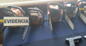 Operación radiata Toltén de la PDI detuvo a ocho personas por sustracción de madera a empresas forestales