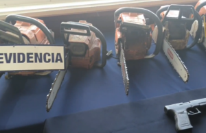 Operación radiata Toltén de la PDI detuvo a ocho personas por sustracción de madera a empresas forestales