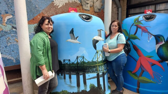 Municipio de Pitrufquén finaliza proyecto ambiental que instaló contenedores hermoseados en diferentes puntos de la comuna