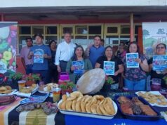 ¡Disfruta este verano en Pitrufquén!… Con la Segunda Versión de la Feria “Fusión de Sabores”