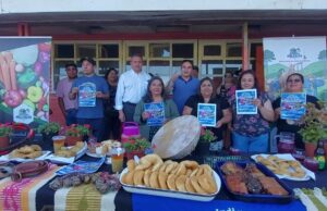 ¡Disfruta este verano en Pitrufquén!… Con la Segunda Versión de la Feria “Fusión de Sabores”
