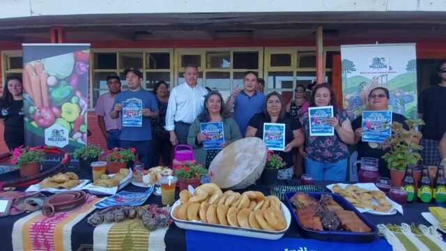 ¡Disfruta este verano en Pitrufquén!… Con la Segunda Versión de la Feria “Fusión de Sabores”