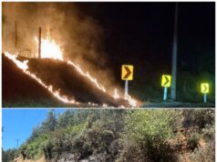 Detienen a sujeto sospechoso de ocasionar al menos 3 focos de incendios de pastizales en lautaro con un encendedor