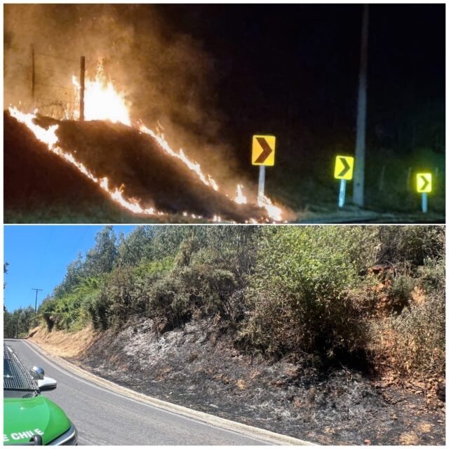 Detienen a sujeto sospechoso de ocasionar al menos 3 focos de incendios de pastizales en lautaro con un encendedor