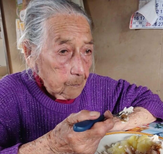 Aparece a salvo Marcelina Huaiquimil, la adulto mayor extraviada en el sector Quechuco en la comuna de Pitrufquén