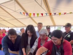 Continúan los atractivos panoramas veraniegos: Freire vibra con ferias, gastronomía local y música en vivo