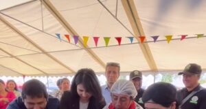 Continúan los atractivos panoramas veraniegos: Freire vibra con ferias, gastronomía local y música en vivo