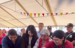 Continúan los atractivos panoramas veraniegos: Freire vibra con ferias, gastronomía local y música en vivo