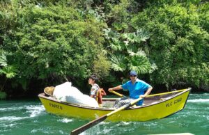 Agrupación de Guías de Pesca Rey King Villarrica reestrena mini documental sobre Operativos de Limpieza en Río Toltén y Lago Villarrica