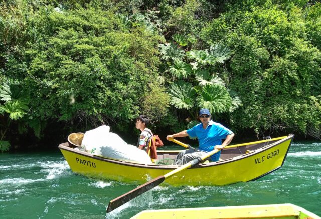 Agrupación de Guías de Pesca Rey King Villarrica reestrena mini documental sobre Operativos de Limpieza en Río Toltén y Lago Villarrica