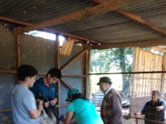 El Equipo Proder del Centro Udel de Quepe, realizó un Operativo que Atendió a 15 Familias