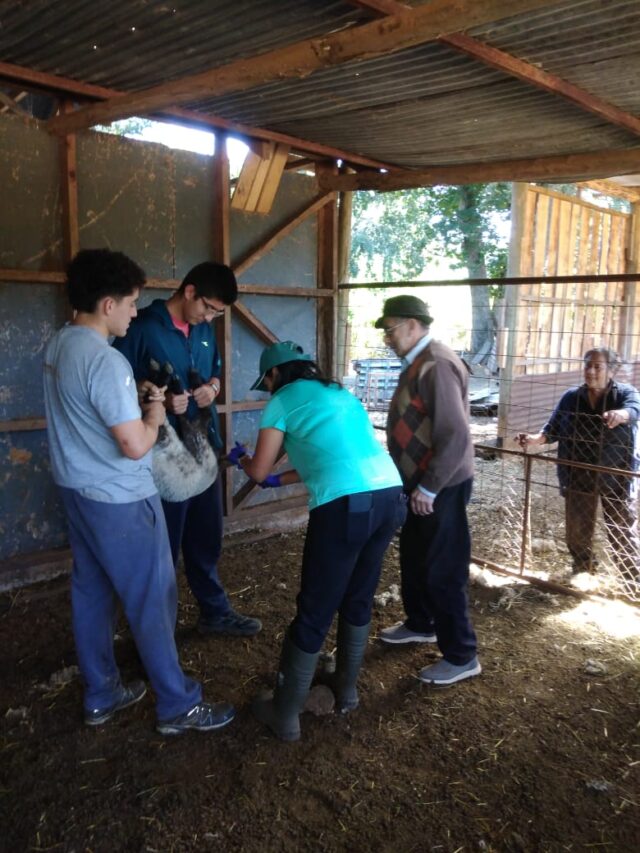 El Equipo Proder del Centro Udel de Quepe, realizó un Operativo que Atendió a 15 Familias