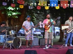 Festival Villa Dulce 2025: Un Encuentro de Sabores y Tradición en Villarrica