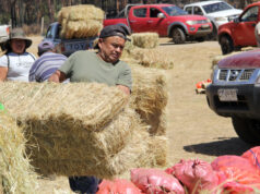 Hortaliceros Mapuche de Freire Entregaron Ayuda a Comunidades de Cholchol Afectadas por Incendios Forestales