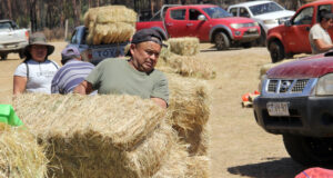 Hortaliceros Mapuche de Freire Entregaron Ayuda a Comunidades de Cholchol Afectadas por Incendios Forestales