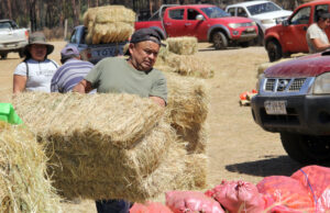Hortaliceros Mapuche de Freire Entregaron Ayuda a Comunidades de Cholchol Afectadas por Incendios Forestales