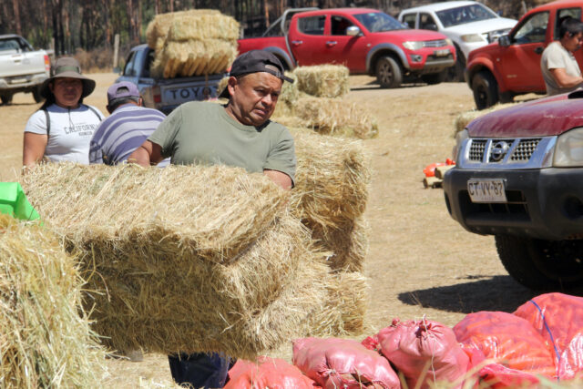 Hortaliceros Mapuche de Freire Entregaron Ayuda a Comunidades de Cholchol Afectadas por Incendios Forestales