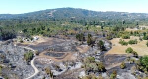 Con Apoyo de Helicóptero Sigue el Combate de Incendio Forestal en Pitrufquén