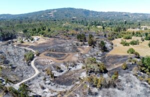 Con Apoyo de Helicóptero Sigue el Combate de Incendio Forestal en Pitrufquén