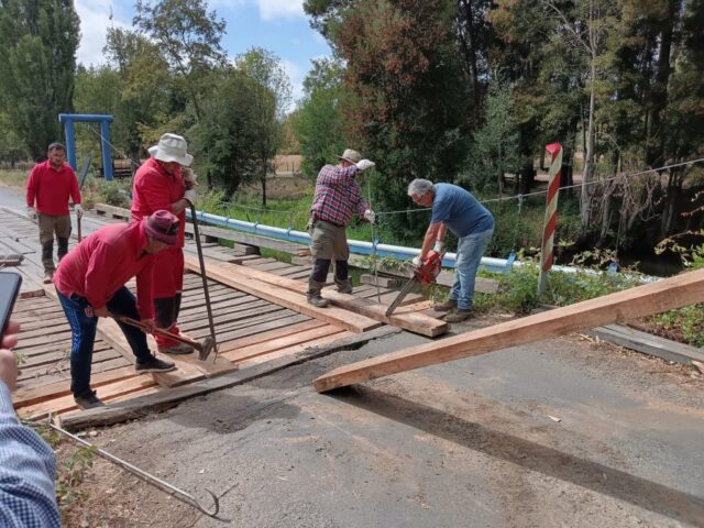 Puente Pelales Debió Ser Intervenido por Problemas Estructurales