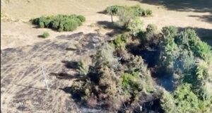 Bomberos, Vecinos y Equipos de Emergencia de la Municipalidad de Freire, Controlaron Incendio en Huente Grande