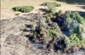 Bomberos, Vecinos y Equipos de Emergencia de la Municipalidad de Freire, Controlaron Incendio en Huente Grande