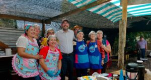 Freire Cerrará Actividades Veraniegas con Ferias en Calfuco y Chucauco