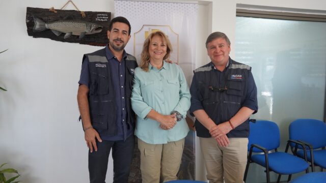 Indap Realiza Catastro de Productores Afectados por Incendios Forestales en Pitrufquén para Iniciar la Entrega de Ayuda