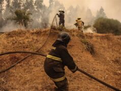 Bomberos denuncia ataque a disparos cuando combatían incendio forestal en Galvarino