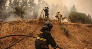 Bomberos denuncia ataque a disparos cuando combatían incendio forestal en Galvarino