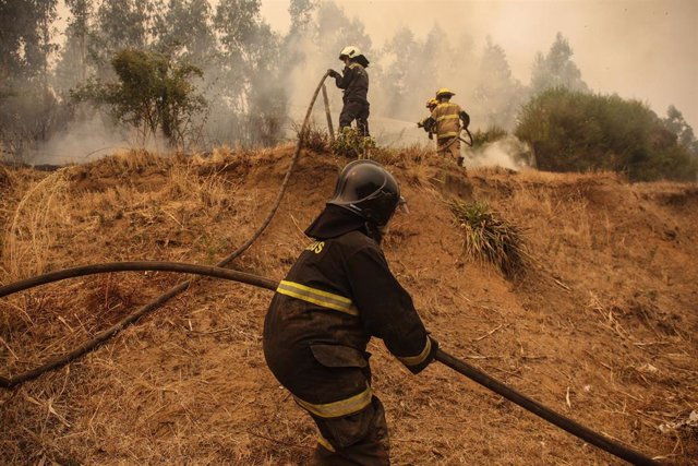 Bomberos denuncia ataque a disparos cuando combatían incendio forestal en Galvarino