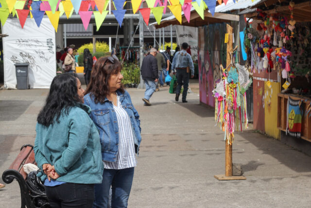 Realizan campaña solidaria en beneficio de artesanas que perdieron sus locales en incendio de Villarrica