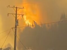 Aumentan a 19 las viviendas destruidas por incendios forestales en Traiguén: el fuego ha consumido más de 3 mil hectáreas