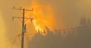 Aumentan a 19 las viviendas destruidas por incendios forestales en Traiguén: el fuego ha consumido más de 3 mil hectáreas