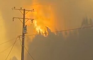 Aumentan a 19 las viviendas destruidas por incendios forestales en Traiguén: el fuego ha consumido más de 3 mil hectáreas