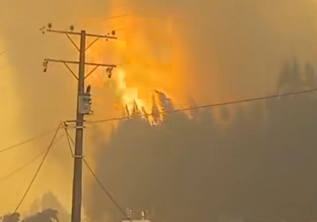 Aumentan a 19 las viviendas destruidas por incendios forestales en Traiguén: el fuego ha consumido más de 3 mil hectáreas