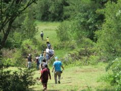 Municipalidad de Gorbea informa que se inicia plan de manejo forestal en el parque ecológico La Aguada