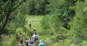 Municipalidad de Gorbea informa que se inicia plan de manejo forestal en el parque ecológico La Aguada
