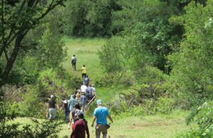 Municipalidad de Gorbea informa que se inicia plan de manejo forestal en el parque ecológico La Aguada